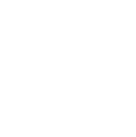 Premium Development Services